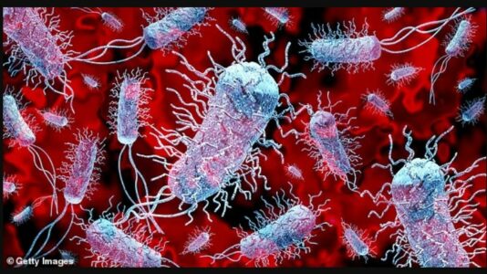 Superbakteret mund të “mposhtin” shërbimet shëndetësore këtë dimër, teksa ato përballen me një cunami virusesh sezonalë