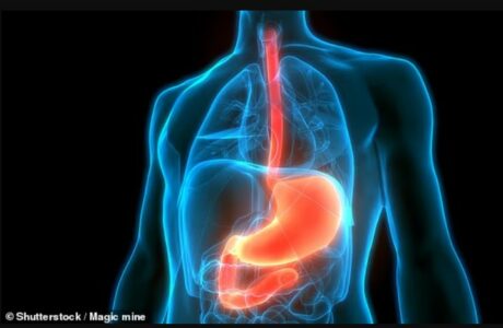 Studimi zbulon një zëvendësim të thjeshtë në darkë që mund të ulë rrezikun e kancerit të fshikëzës së tëmthit