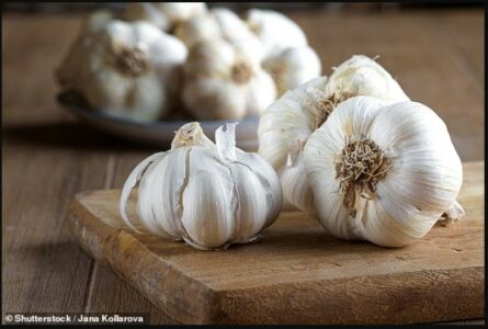 Shkencëtarët duan të krijojnë gargarë nga HUDHRA – dhe thonë se mund të jetë shumë efektive