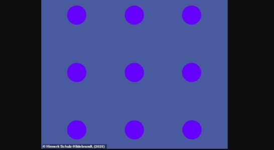 A topat blu apo lejla? Iluzioni optik që po çmend internetin