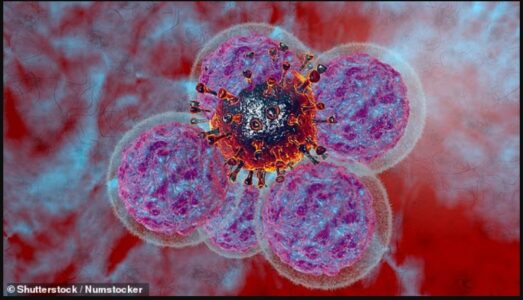 Shkencëtarët zbulojnë një “vrasës natyral të kancerit” më të sigurt dhe më efektiv se trajtimet standarde