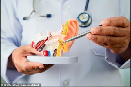 Obeziteti rrit ndjeshëm rrezikun për zhvillimin e sëmundjes së pashërueshme të veshëve – zhurmës kronike (tinitus)