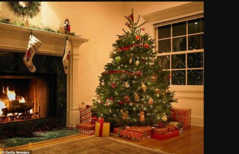 Duke zgjedhur pemën e Krishtlindjes këtë fundjavë? Ja si një pemë e vërtetë mund të përmirësojë shëndetin tuaj… dhe të largojë stresin e festave