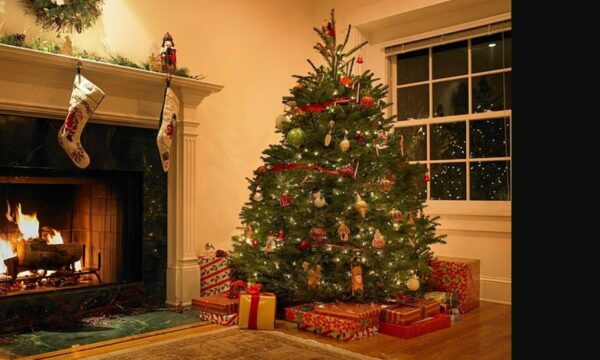 Duke zgjedhur pemën e Krishtlindjes këtë fundjavë? Ja si një pemë e vërtetë mund të përmirësojë shëndetin tuaj… dhe të largojë stresin e festave