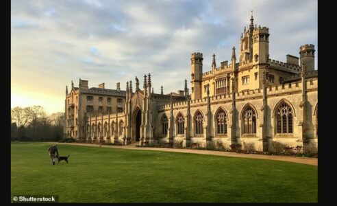 Qytetet më të këqija në Britani për të pasur një qen – Cambridge kryeson listën