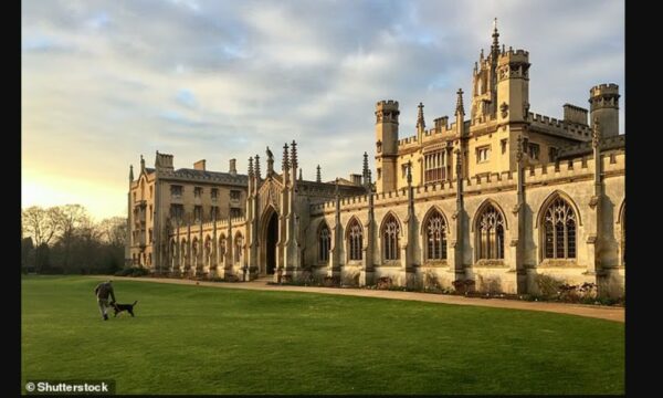 Qytetet më të këqija në Britani për të pasur një qen – Cambridge kryeson listën