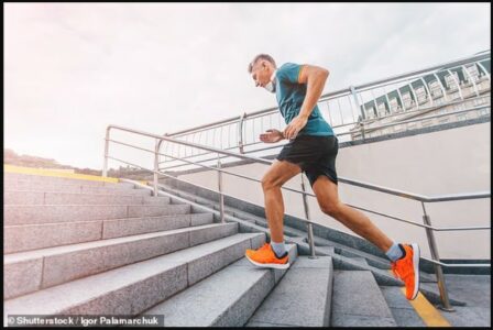 Vetëm 5 minuta ushtrime intensive dy herë në ditë mund të përmirësojnë ndjeshëm shëndetin e zemrë